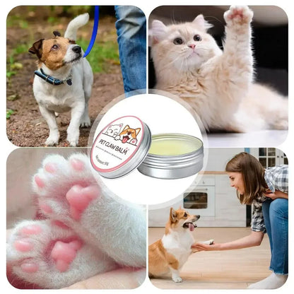 Paw Balm for Cats & Dogs – Protective Moisturizing Cream for Paws, Nose & Cracked Feet (50g)